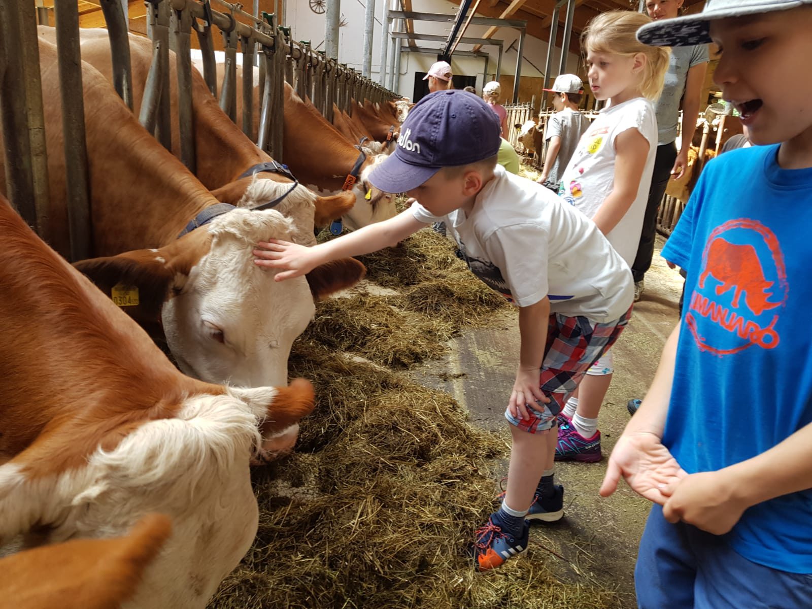 Guided tours “School on a farm”