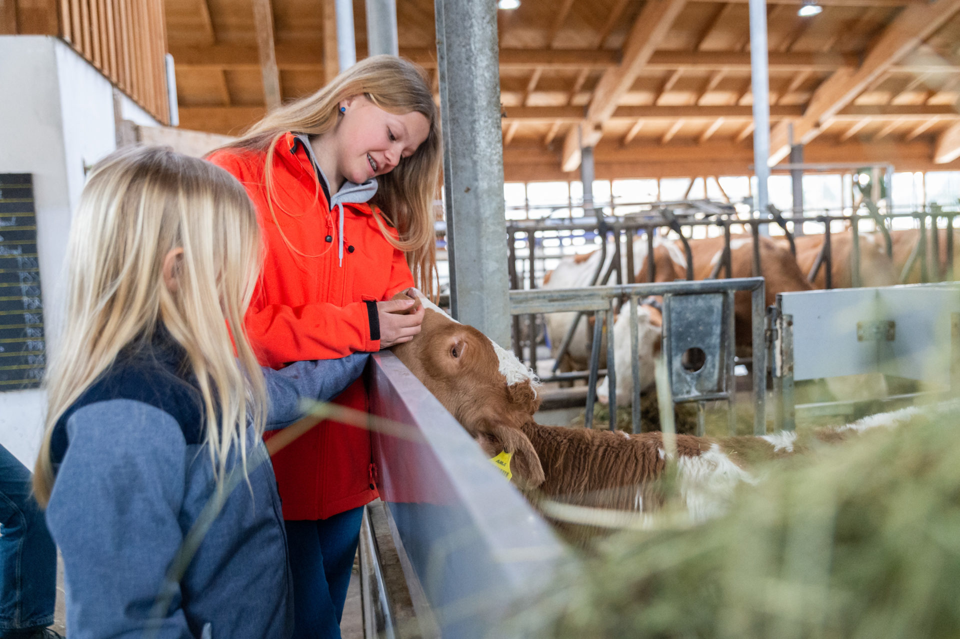 Guided tours “School on a farm”