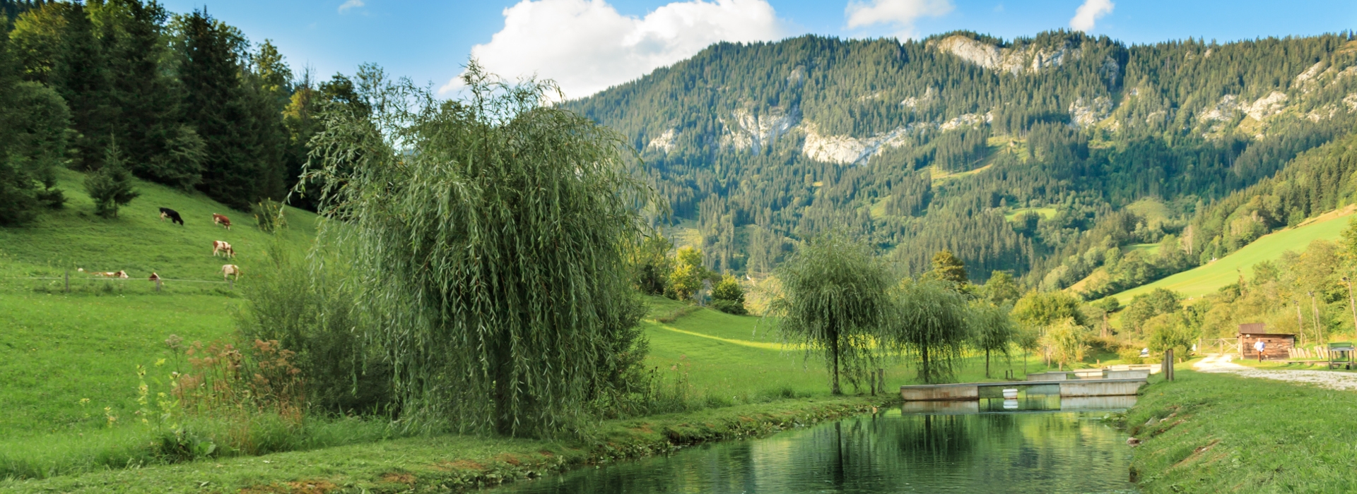 Decleva’s alpine fish for Mariazell