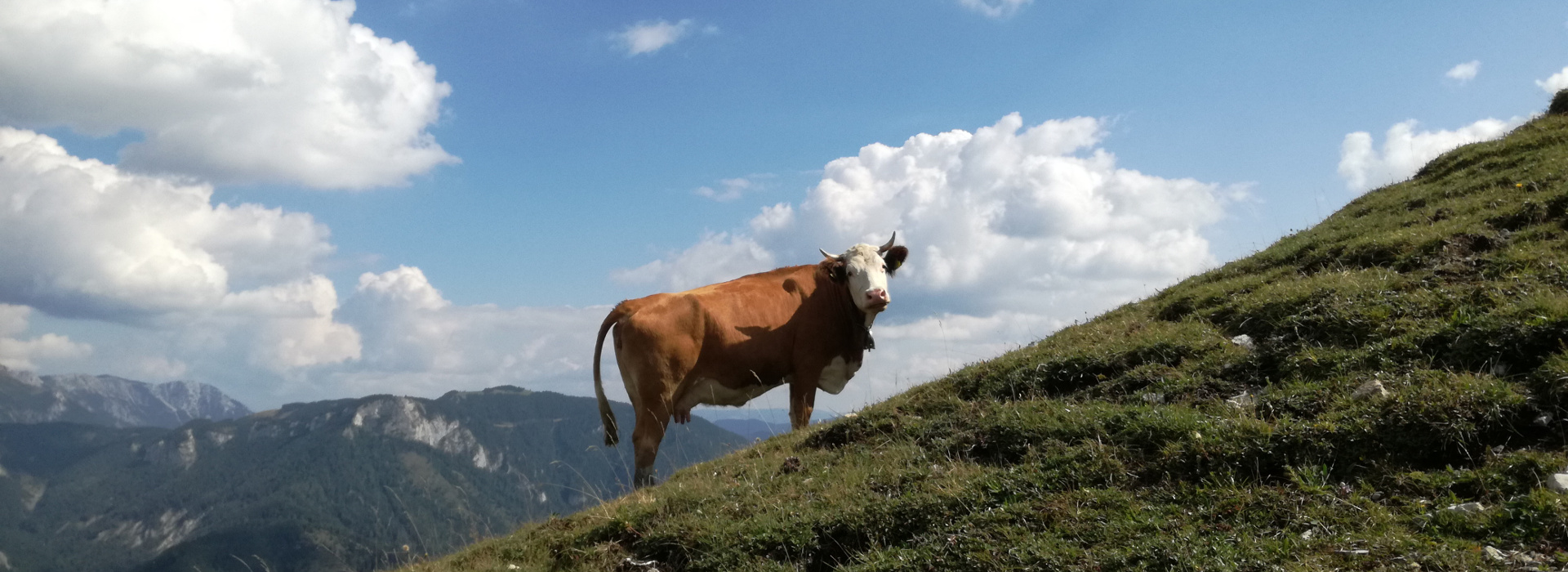 Túrák