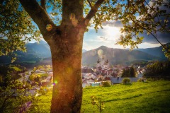 Basilika Mariazell - Frühling-Stehralm 02, © TVB Mariazeller Land / Fred Lindmoser