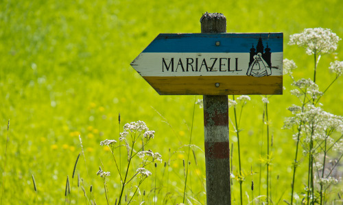 Mein Weg nach Mariazell, © www.mariazell.blog