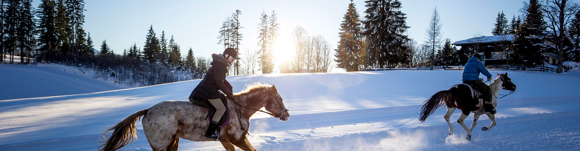 © Steiermark Tourismus/ikarus.cc