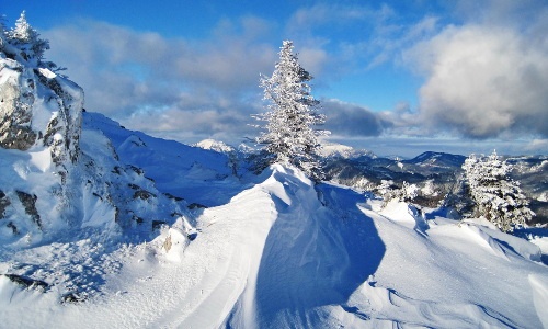 Wildalpe, Blick Richtung Gemeindealpe und Ötscher, © Franz Fidi