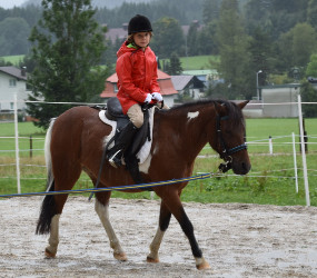 Reiten, © Gut Weißenbach