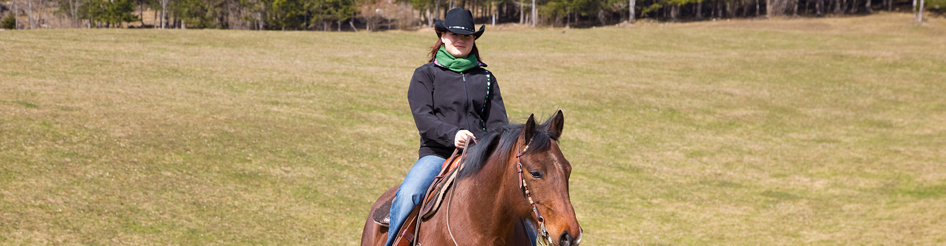 Westernreiten, © Lasingerhof