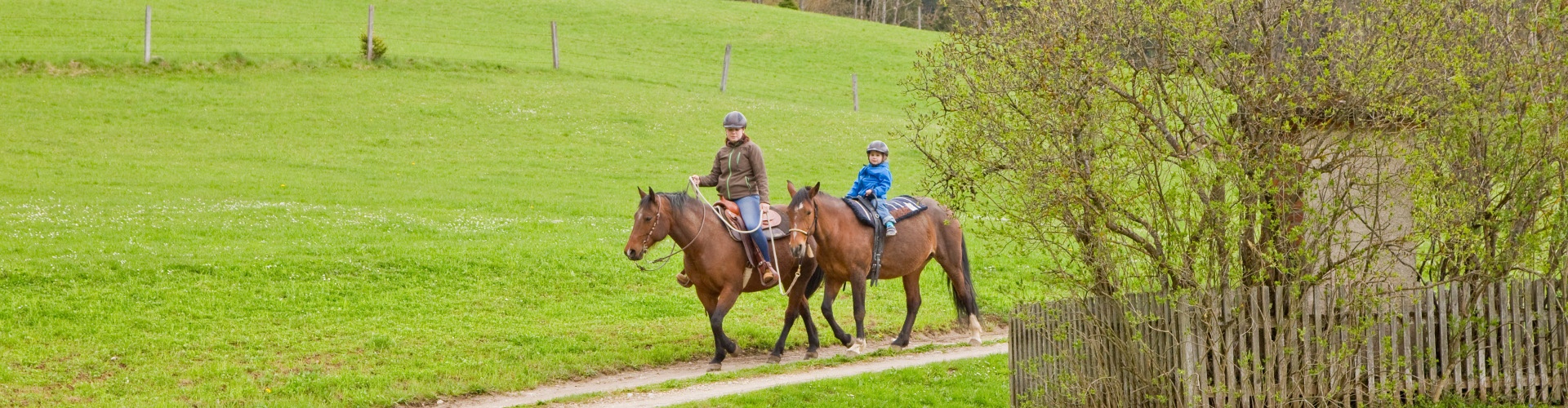 Westernreiten, © Lasingerhof