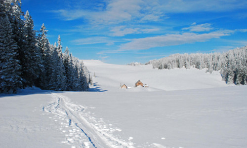 Am Herrenboden, © Wolfgang Drexler, ÖAV Alpenverein Gebirgsverein