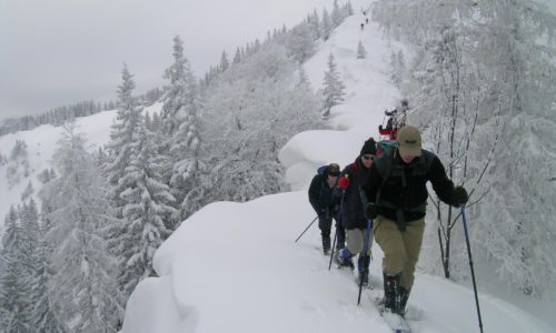 aufstieg-ueber-den-verwechteten-westruecken-zur-gemeindealpe ©Csaba Szépfalusi, alpenvereinaktiv.com