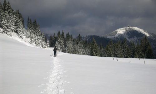 weiter-in-marschrichtung-gemeindealpe-bis-zur-brachalm©Martin Reingruber, ÖAV Alpenverein Gebirgsverein