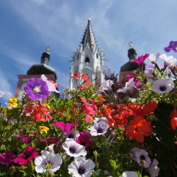 Basilika mit Blumen, © www.mariazell.blog