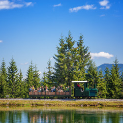 Waldeisenbahn Mariazeller Bürgeralpe, © TV Hochsteiermark | Fred Lindmoser