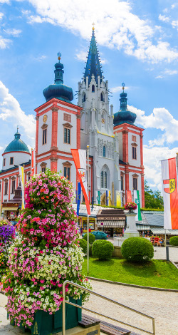 Mariazell Basilika Blumen, © www.mariazell.blog