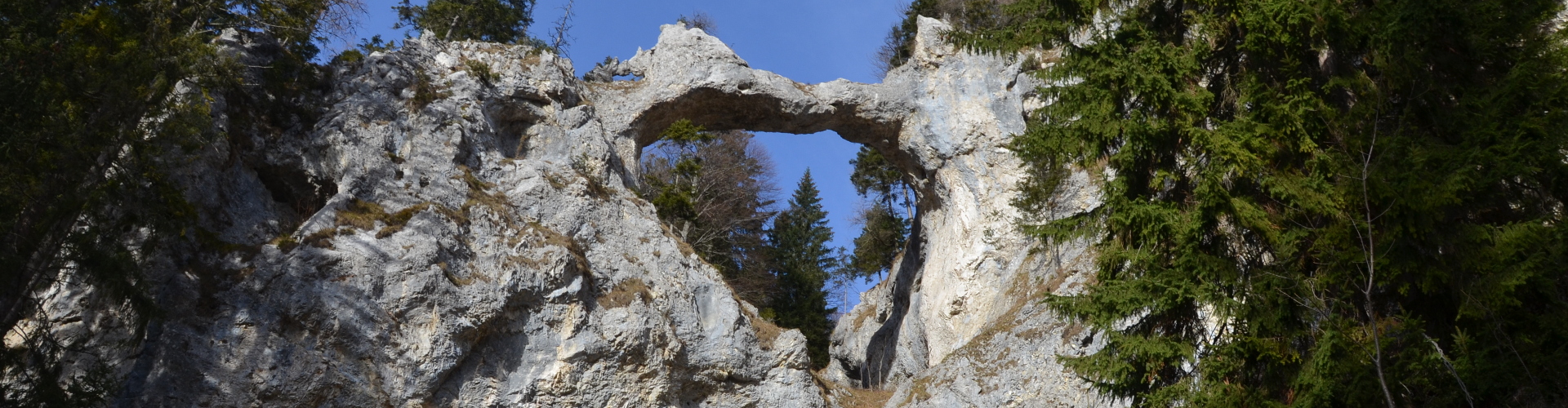 Teufelsbrücke © Andreas Jentzsch