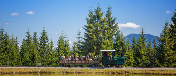 Waldeisenbahn im Holzknechtland, © TVB Mariazeller Land/www.mariazell.blog Waldeisenbahn im Holzknechtland, © TVB Mariazeller Land/www.mariazell.blog