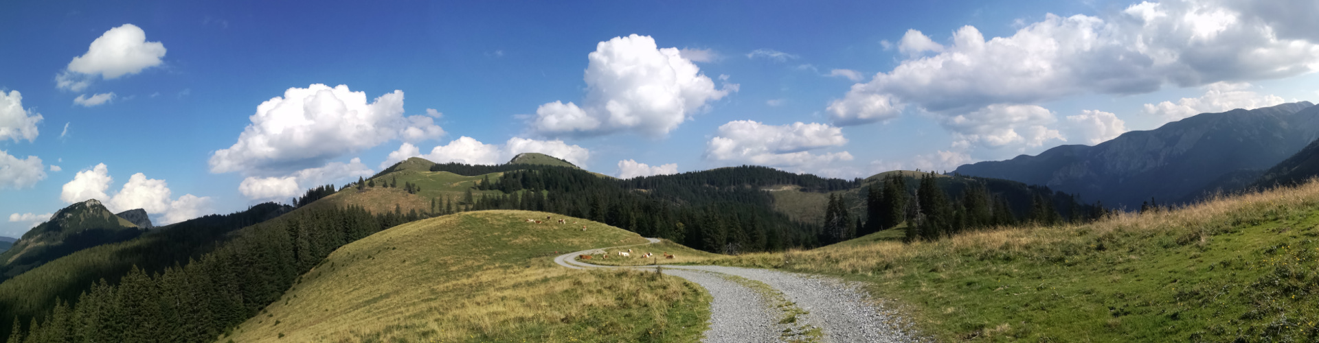 Almenwanderung, © TVB Mariazeller Land