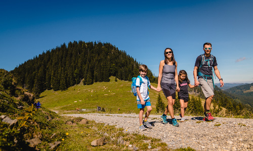 Wandern, © TVB Mariazeller Land / Rudy Dellinger