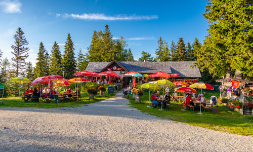 Edelweißhütte, © TVB Mariazeller Land / Fred Lindmoser