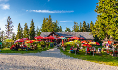 Edelweißhütte, © TVB Mariazeller Land / Fred Lindmoser