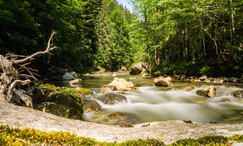 Salzaklamm, © TVB Mariazeller Land / Fred Lindmoser