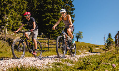 Mountainbiken im Mariazeller Land, © TVB Mariazeller Land / Rudy Dellinger