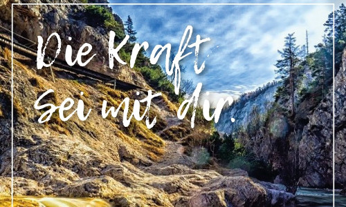 Banner Kraftplätze