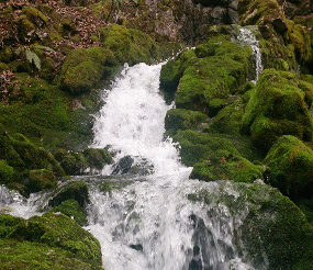 Erlaufursprung, © TVB Mariazeller Land/Digruber