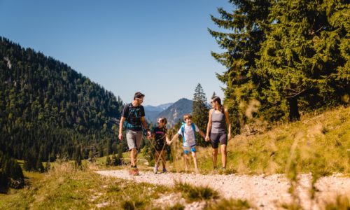 Wandern im Mariazell, © TVB Mariazeller Land / Rudy Dellinger